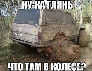image (12).jpg