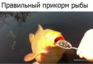 image (14).jpg