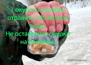 image (17).jpg