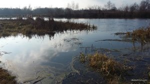 20161112_132314[1].jpg