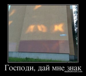 1477552798_demotivatory-1.jpg