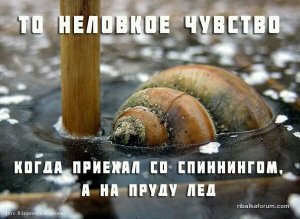 image (16).jpg