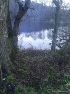 IMG_20161112_090147.jpg