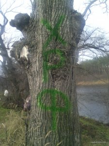 IMG_20161112_115046.jpg