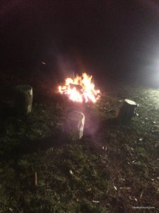 IMG_20161112_174818.jpg