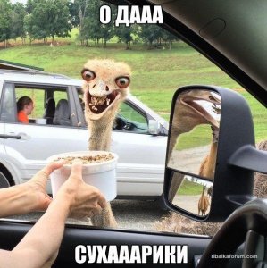 cY56YjizigE.jpg