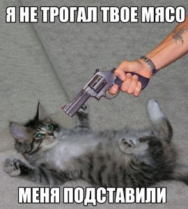5dIFICnFXNY.jpg