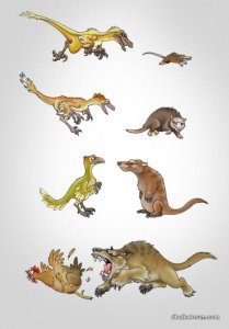 evolution.jpg