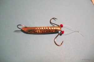 100_3076.JPG