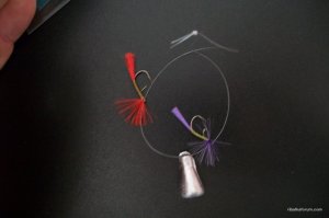 100_3078.JPG