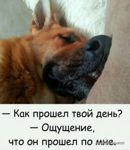 15094380.jpg
