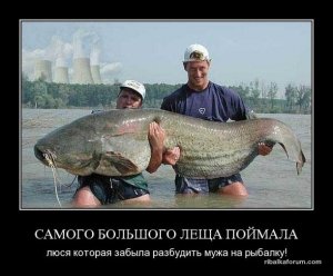 1479455908_demotivatory-5.jpg
