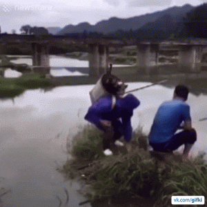ezgif_com-optimize_20.gif