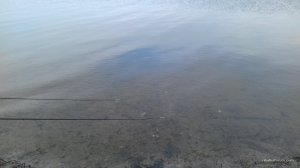 20161118_133353.jpg