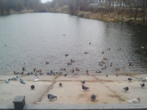 Lenovo_A1000_IMG_20161119_123452.jpg
