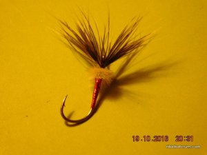 DSCN2727.JPG