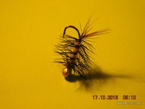DSCN2723.JPG