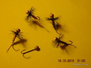 DSCN2718.JPG