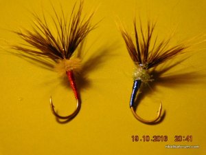DSCN2728.JPG