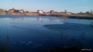 IMG_20161121_080103.jpg