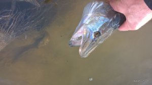 WP_20161120_13_55_52_Pro.jpg