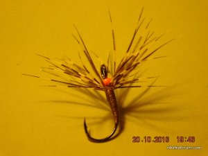 DSCN2751.JPG