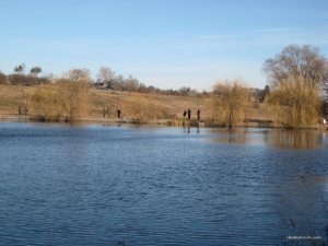 IMG_7819[1].JPG
