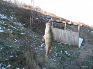 IMG_7814[1].JPG