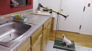 file.gif