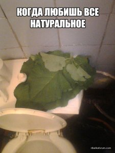 PNai_mPSXQw.jpg