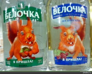 белочка.jpg