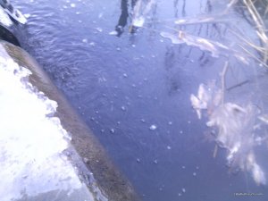 IMG_20161123_081527.jpg