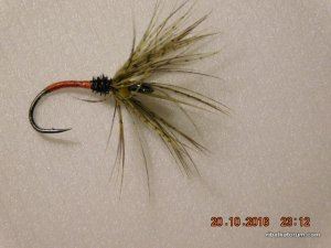 DSCN2756.JPG