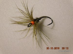 DSCN2757.JPG