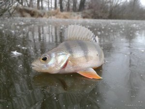 20161124_072551.jpg