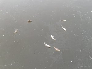 20161124_092326.jpg