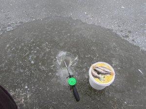 IMG_0897.JPG