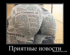 1479976268_demotivatory-13.jpg