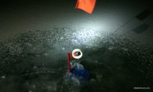 IMG_20161125_192016.jpg