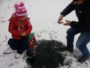 IMG_20161126_113553.jpg