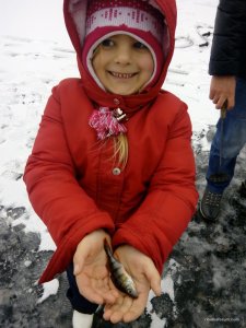 IMG_20161126_115054.jpg