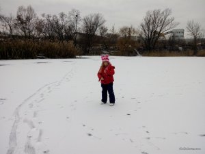 IMG_20161126_114653.jpg