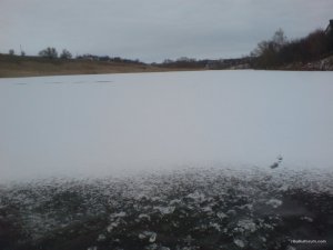 DSC02720.JPG