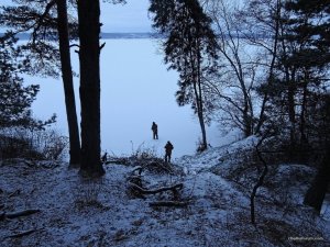 Малышевский залив 26.11.2016-2_05_1_1_1.jpg