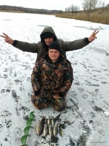 IMG_20161126_145725.jpg