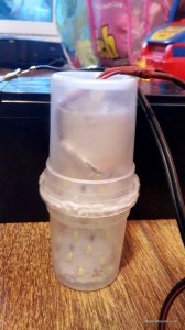 IMG_20161127_142518.jpg