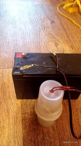 IMG_20161127_142508.jpg