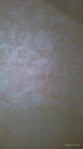 IMG_20161127_161726.jpg