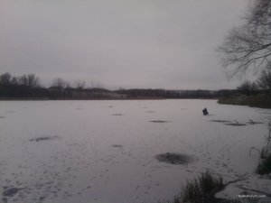 IMG_20161126_101429.jpg