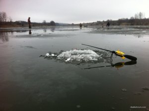 IMG_2963.JPG